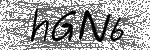image code