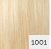 1001