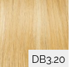 DB3
