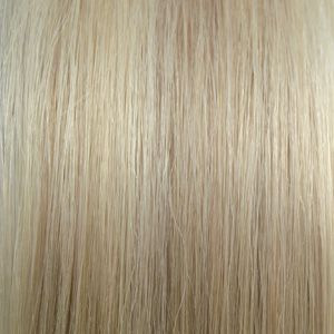 18.1001 Svetlý popolavý blond so svetloplátinovým blond