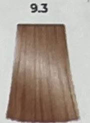 9,3   COLDEN SHADES