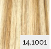 14.1001