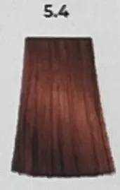 5,4  BEIGE SHADES RAME