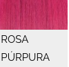 ROSA PURPURA