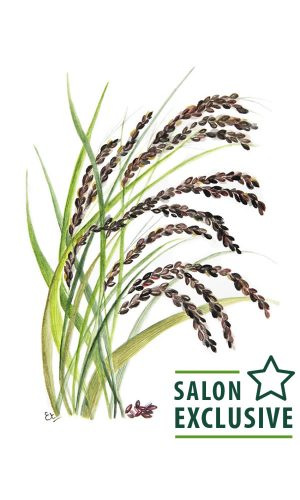 PHITO UNIVERSAL Upokojujúca CALMING maska ​​500 ml 1