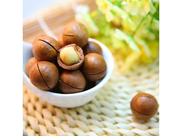 OYSTER FREECOLOR Makadamia reparačná maska 500 ml 2