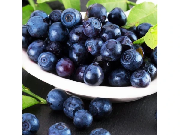 OYSTER FREECOLOR Ochranný olej pre farbené vlasy 100 ml 2