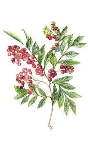 PHITO Energizujúci šampón proti vypadávaniu vlasov 1000 ml 1