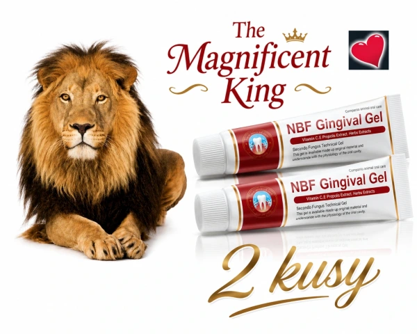 NBF GINGIVAL GÉL 2x30 g - NA RANY, POPÁLENINY, HERPES, ĎASNÁ / 13 EUR KUS/ 1