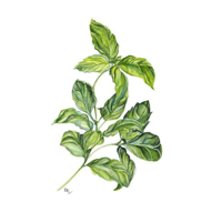 PHITO URBAN mestská kolekcia pre všetky typy