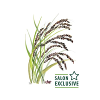 PHITO UNIVERSAL kolekcia exlusive salon